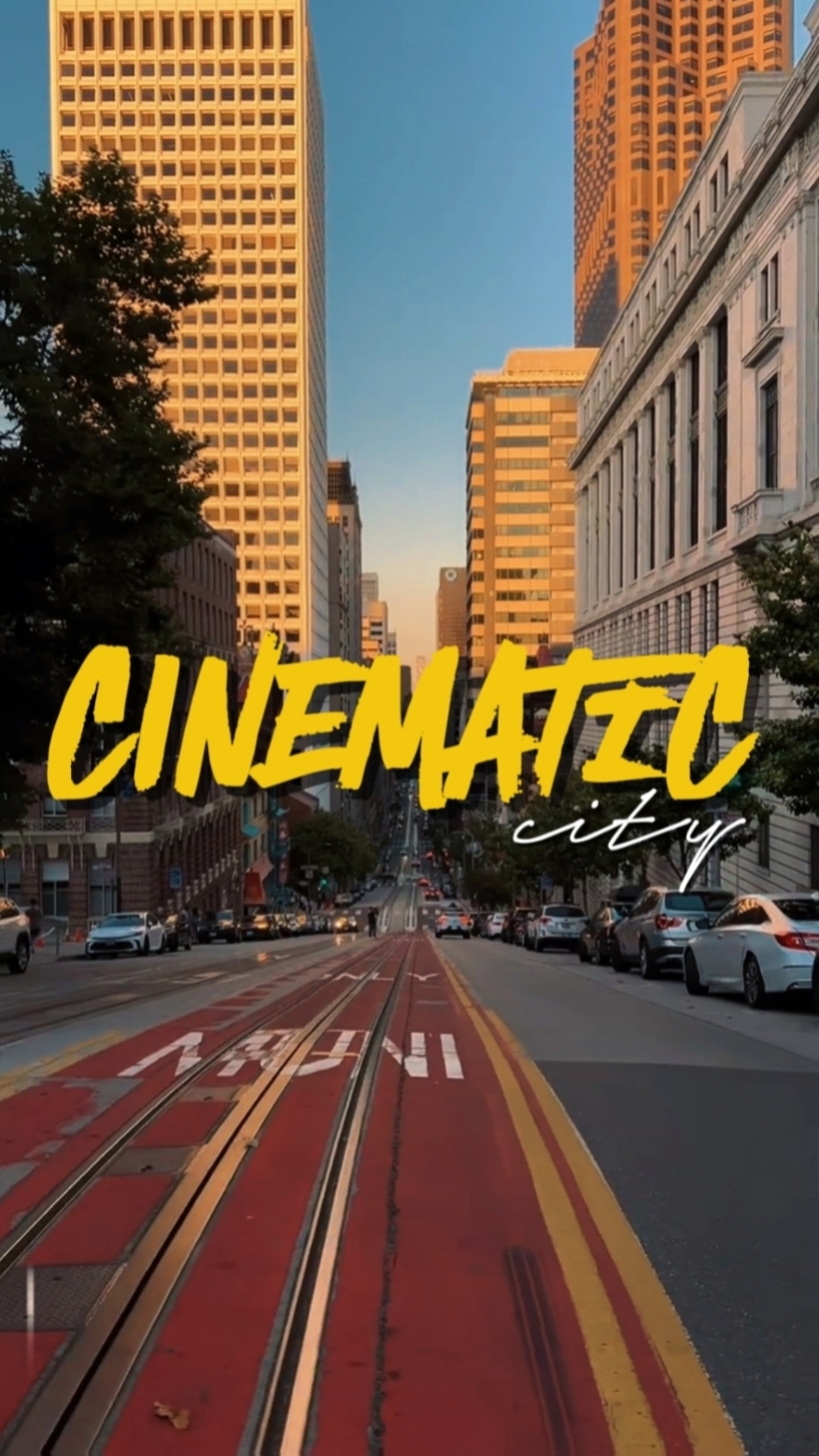 CINEMATIC CITY 
