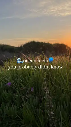 ✮marine biology⊹