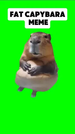 FAT CAPYBARA MEME