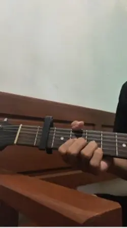 Mentahan petikan