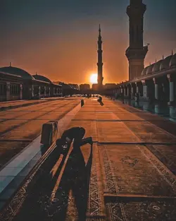 ইসলামিক ভিডিও 