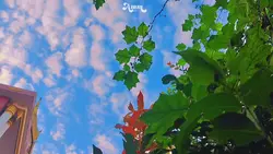 ဝတ်မှုံ