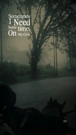 November Rain