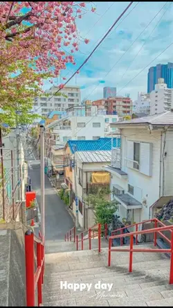 Mẫu 5 ảnh
