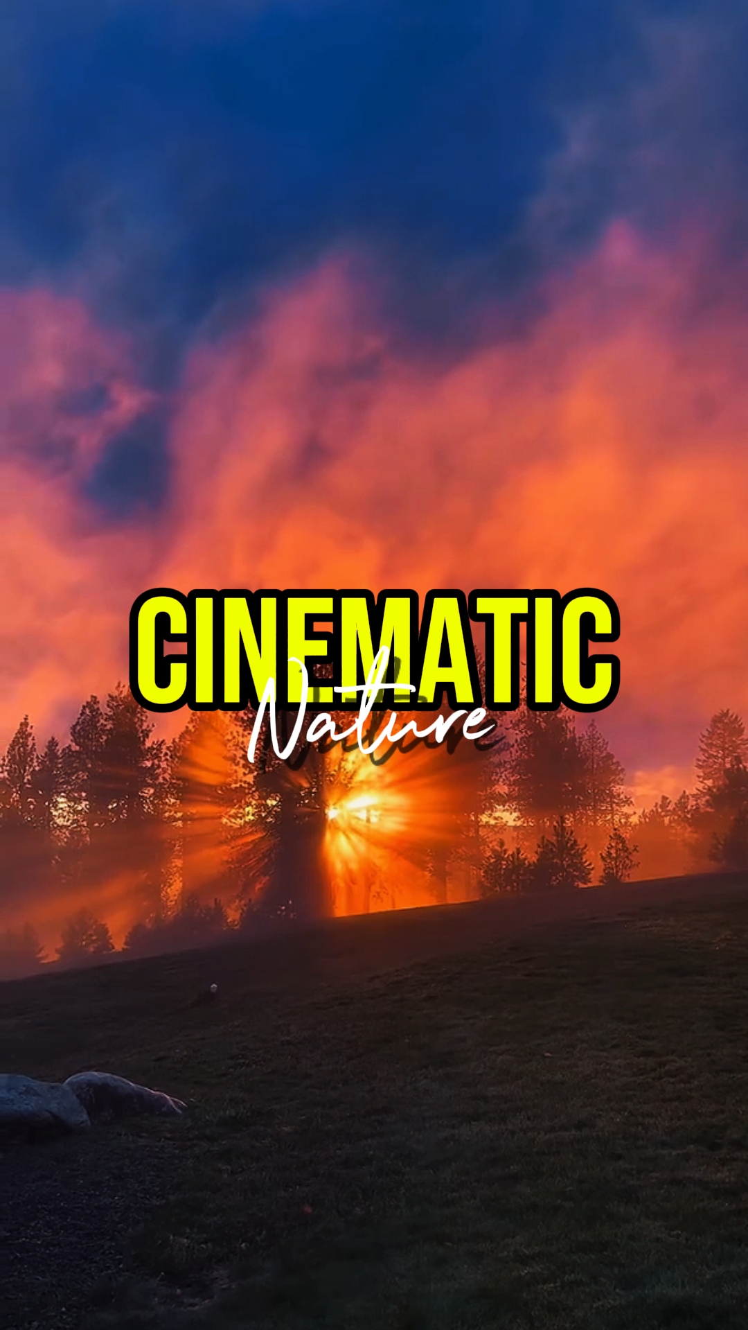 CINEMATIC NATURE