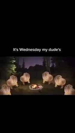 it's Wednesday my 