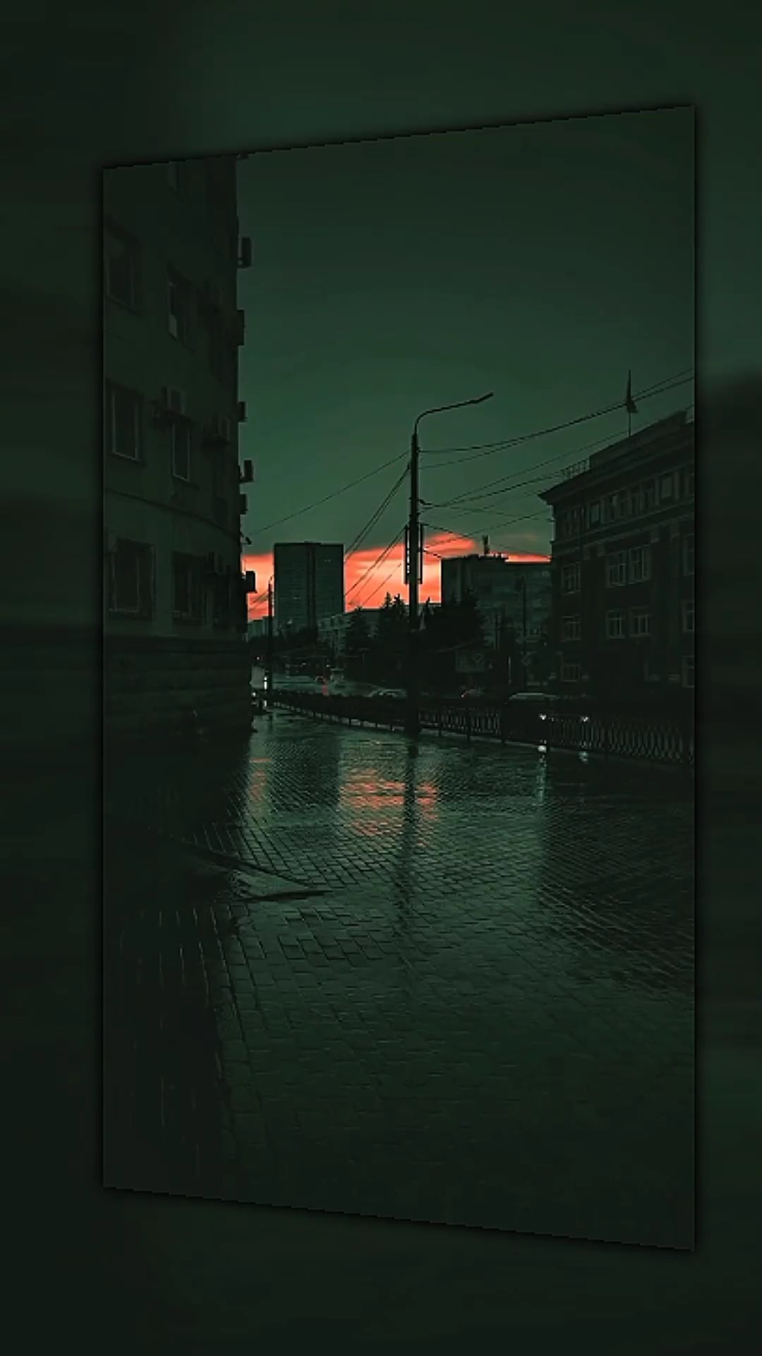 5 vidéo ou photo 