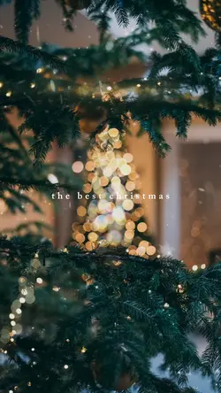 the best christmas