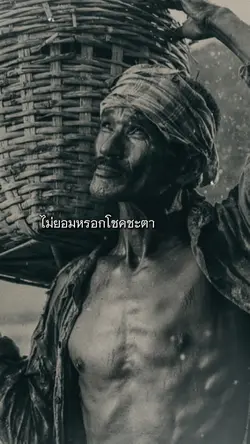 เพลงประกอบชีวิต