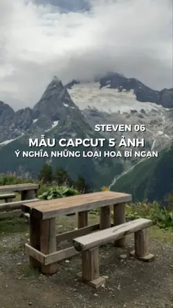 CẮT ĐÔI HOA BỈ NGẠN