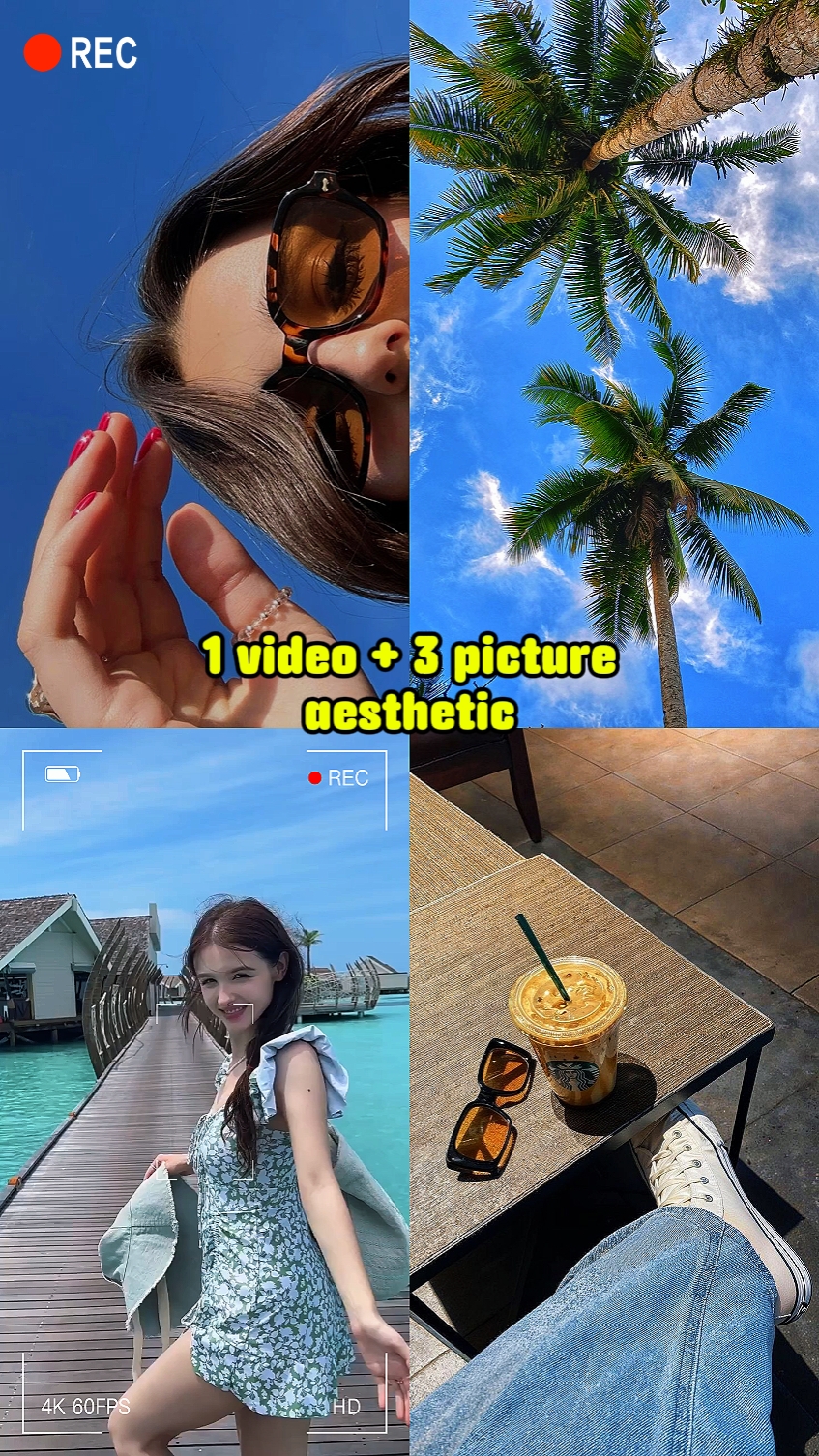 1 Video + 3 Bild