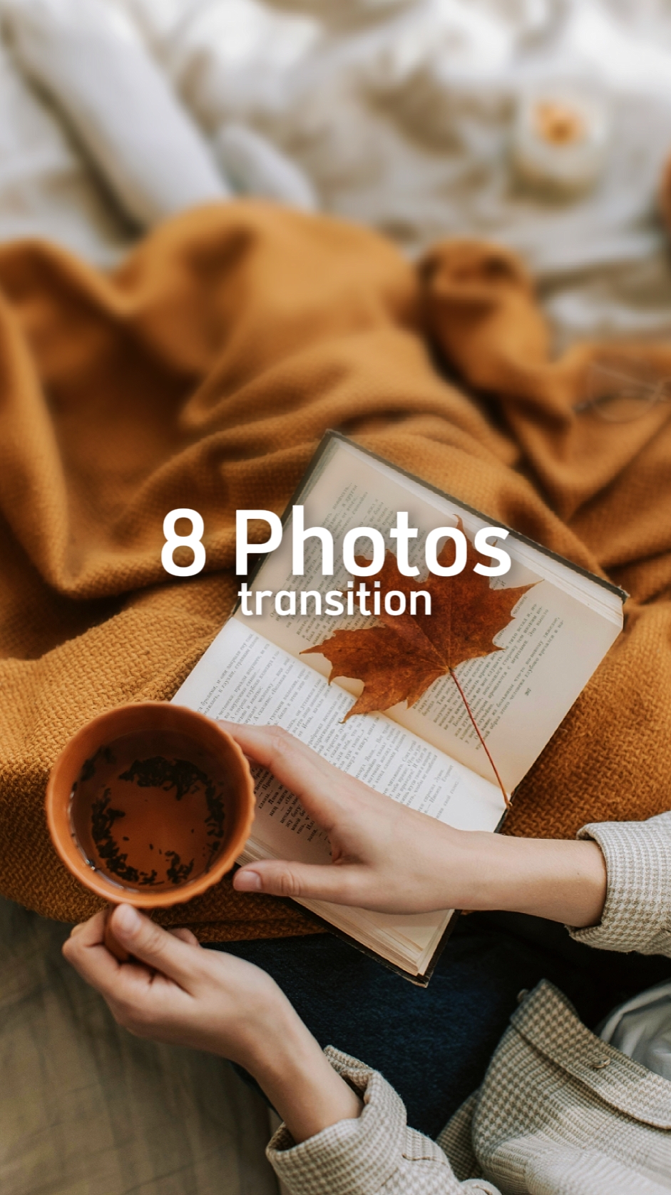 8 Fotos De Transição