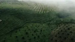 Drone cinematic