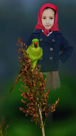 new parrot template