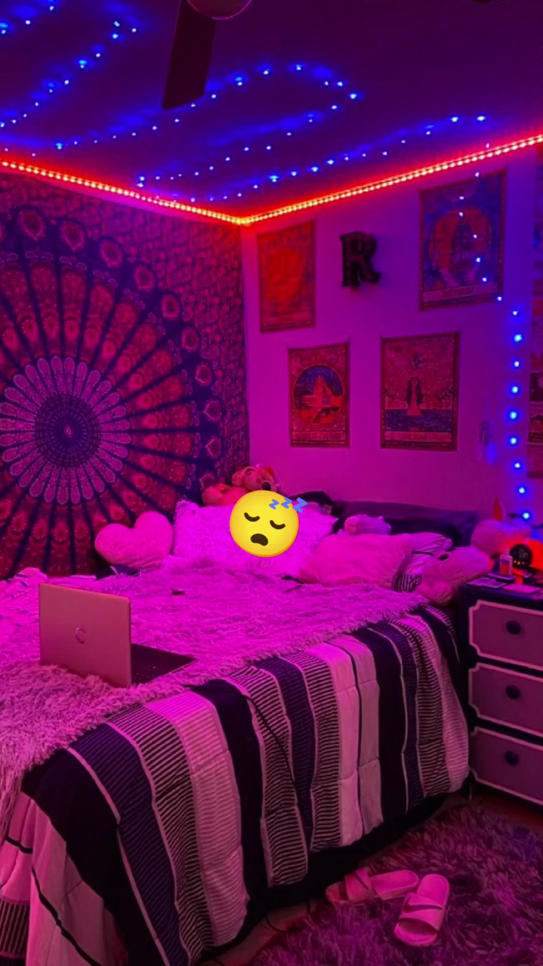 NEW EDIT ZONE 