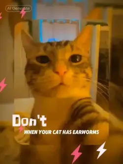 cat lipsing