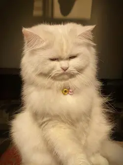 …💕❤️