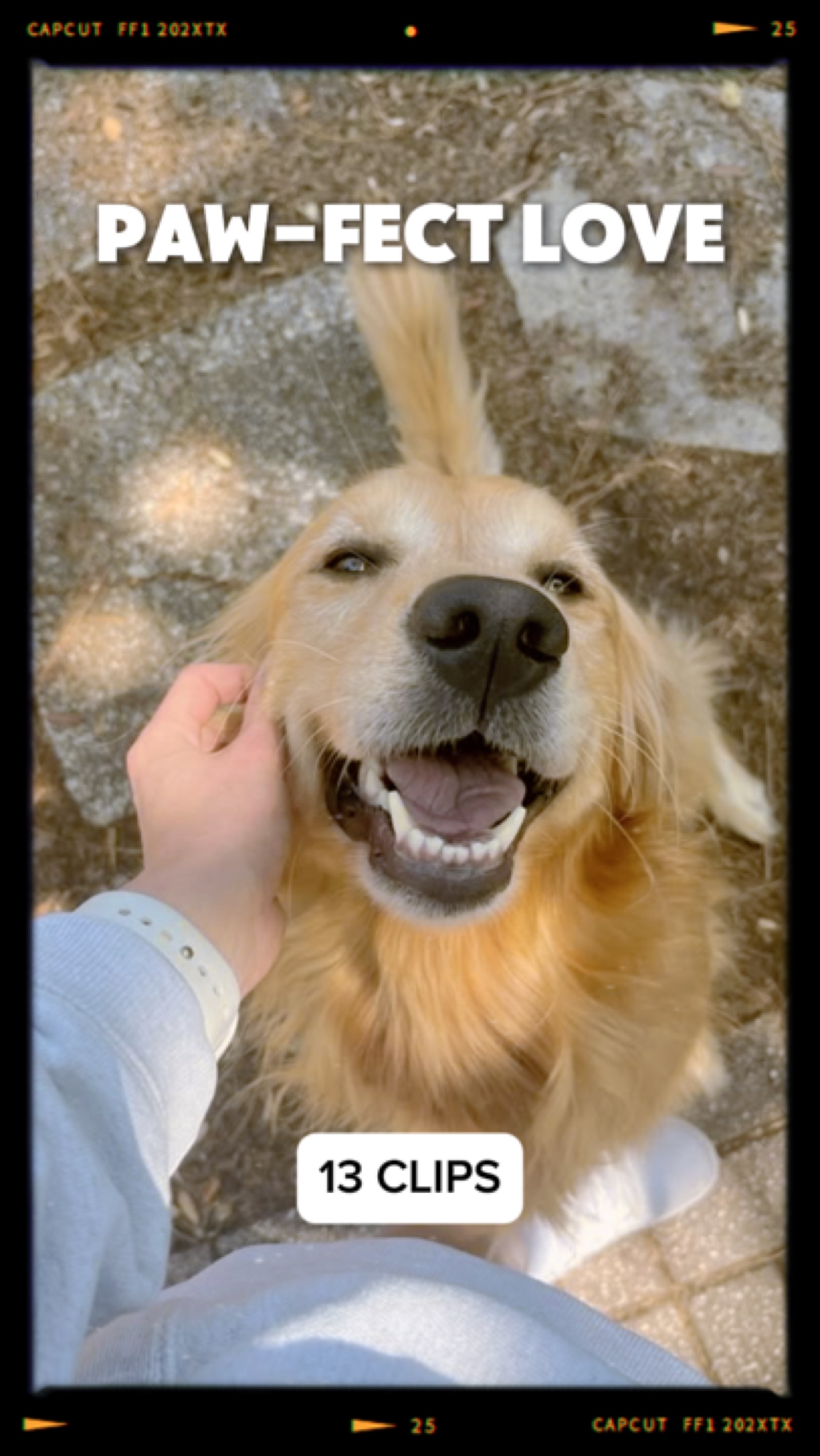 Paw-fect love