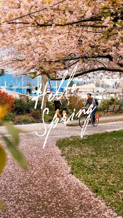 Hello spring