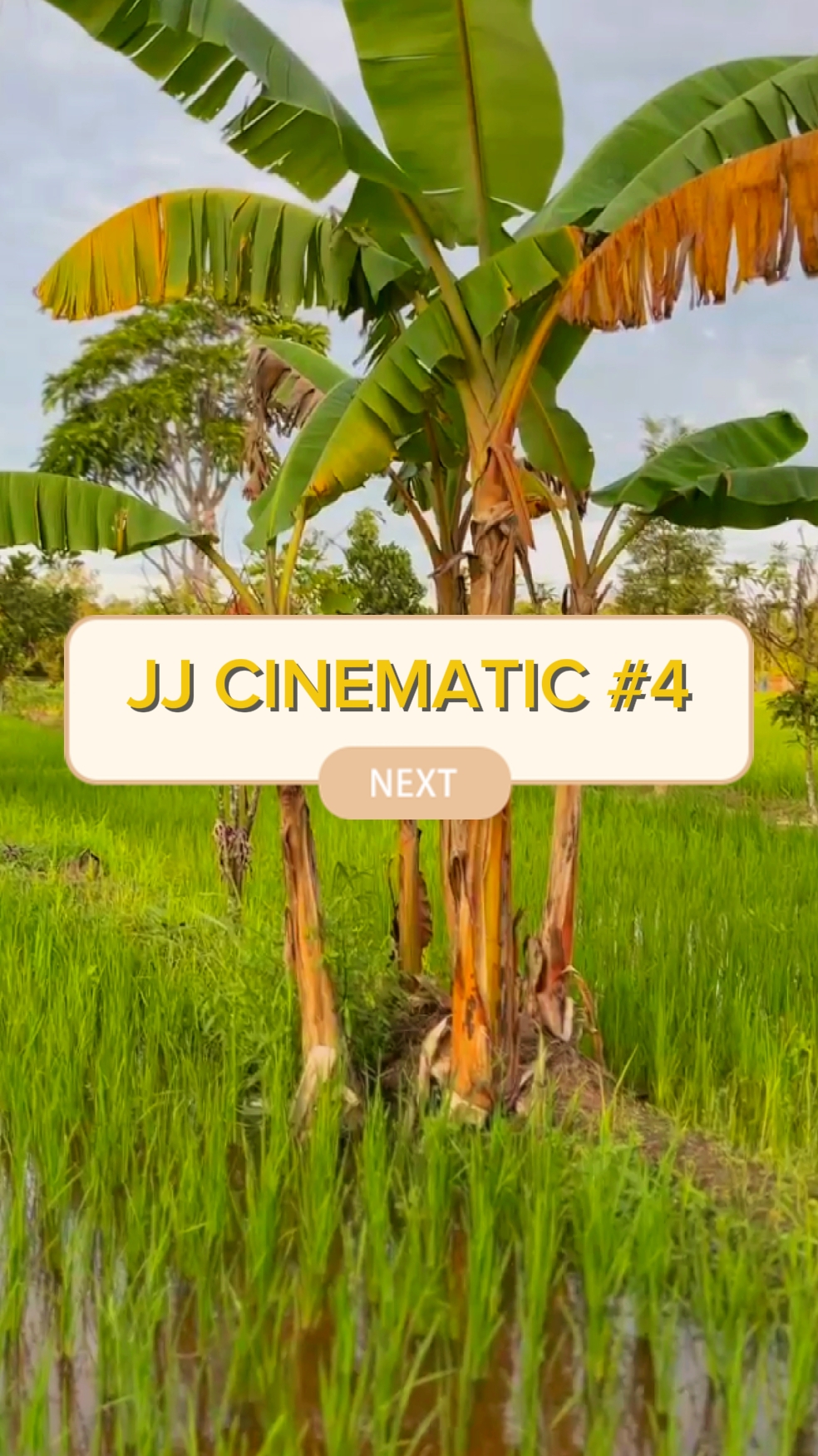 JJ SİNEMATİK 