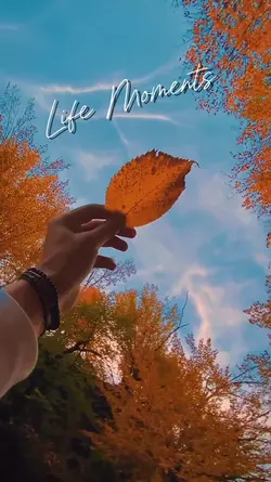 life moments