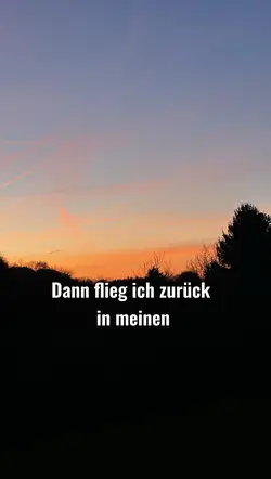 Traum…