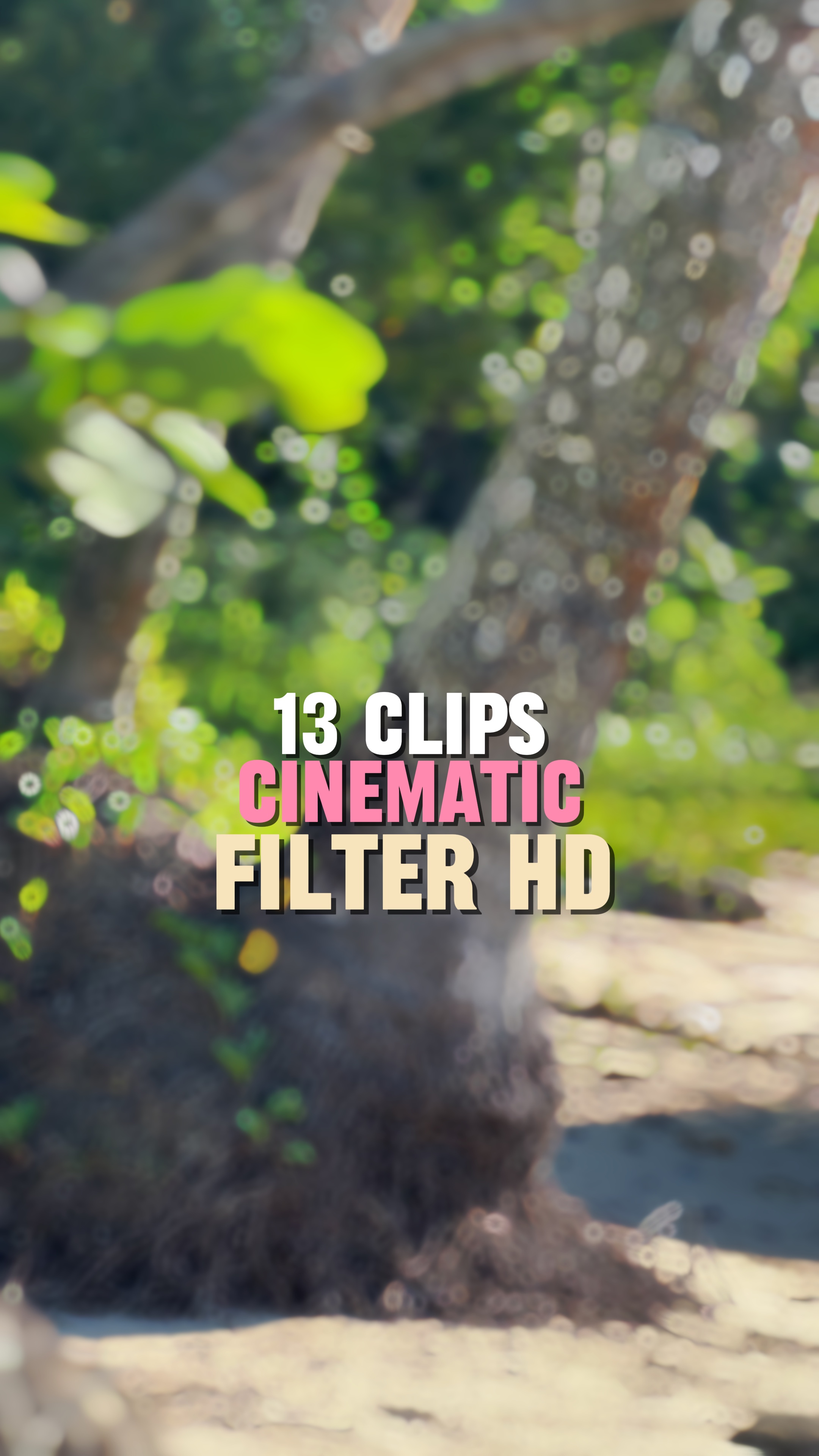13Clip Mashup