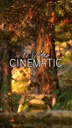 11 Video