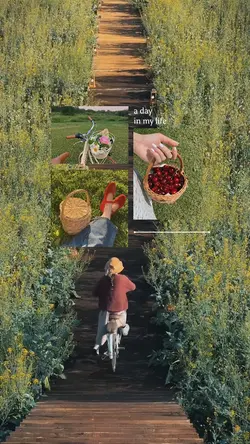 1 VIDEO 3 PHOTO 