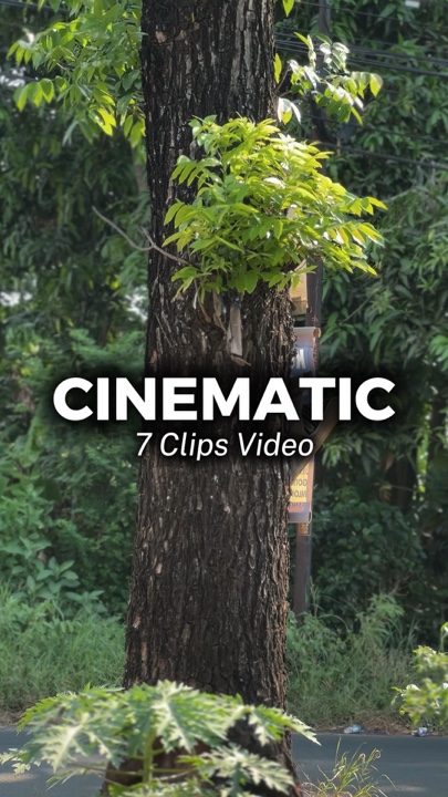 7 Clips Vidéo