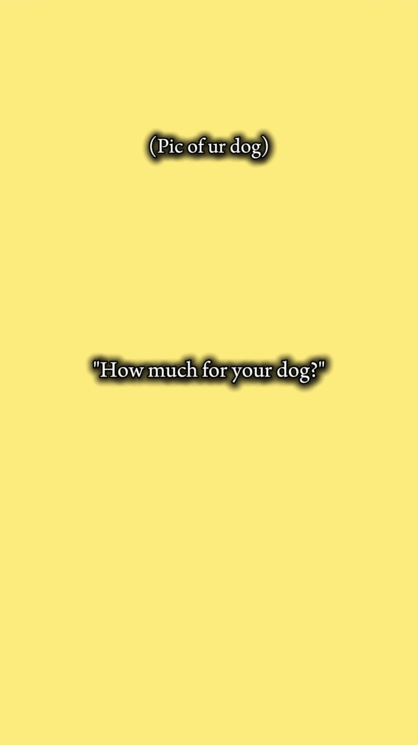 chien