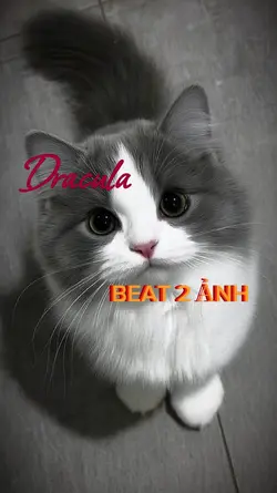 Dracula 2 ảnh