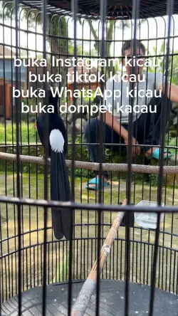 Bahan storimu