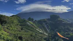 1 CLIP VIDEO