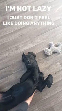 selctve particpation