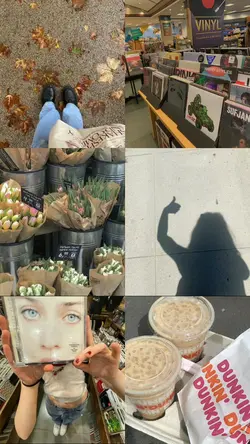 6photos