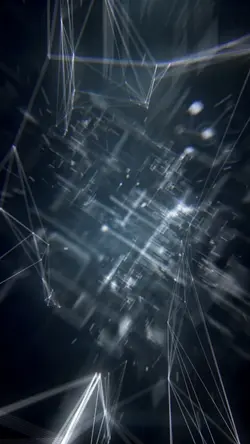 Network portrait ⁸