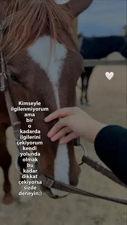 Trend akım 
