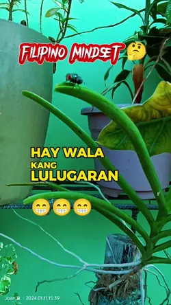 Filipino Mindset