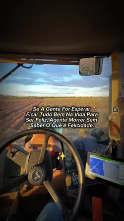 felicidade