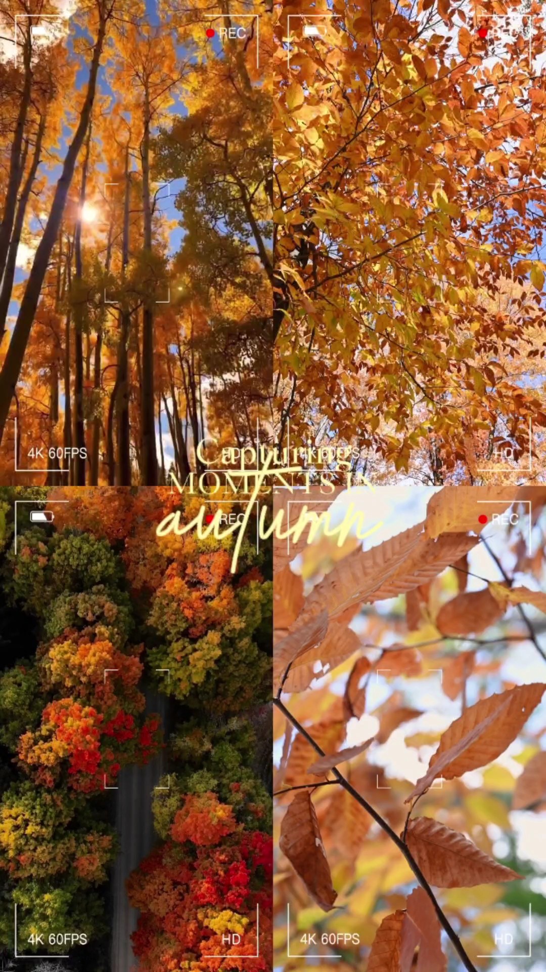 Capturing Autumn