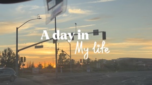 Spend a day with me 
