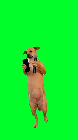 Dog singing