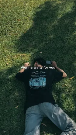 vienna waits for you