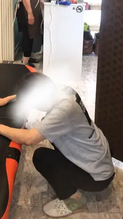 整体