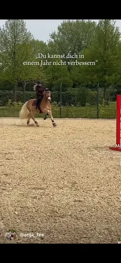 AnjaFee|anderesPferd