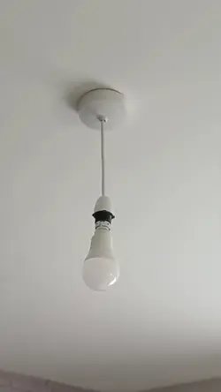 lampshade