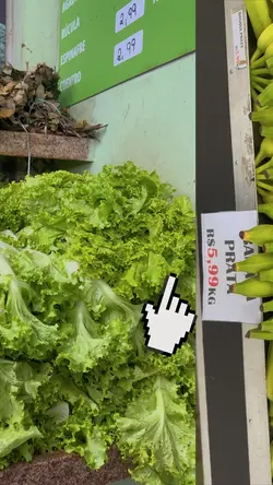 Stories hortifruti 