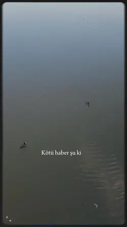 Her şey geçicidir