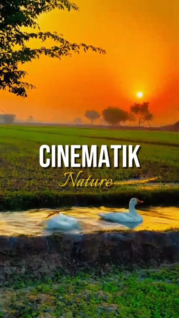 cinematic